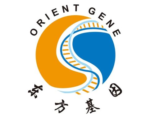 双雄并进 浙江东方基因与东方宇阳的战略协同与产业突围